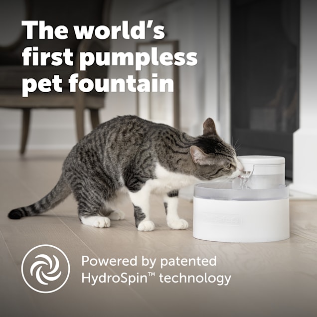 Pet fountain petco clearance