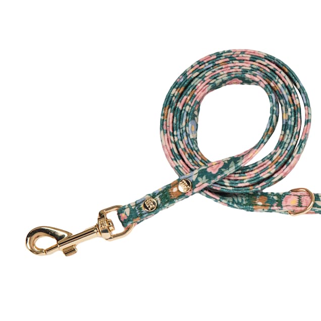 Harry Barker Floral Cat Harness Lead Set Multi Petco
