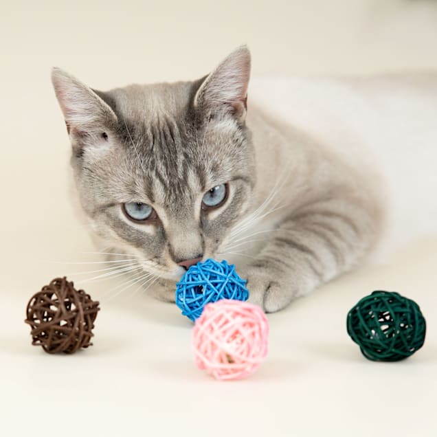 Harry Barker Wicker Ball Cat Toy Pack of 4