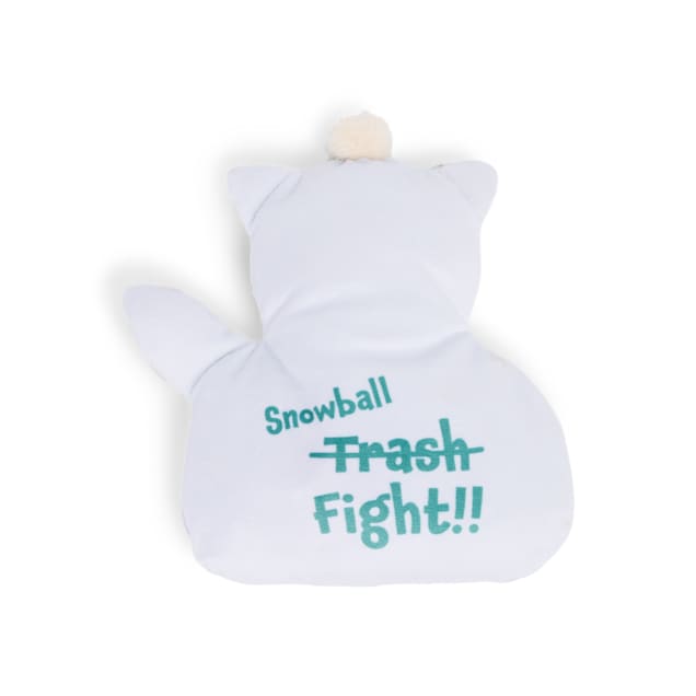 Petco Plush Cool Raccoon Dog Toy, Small Petco