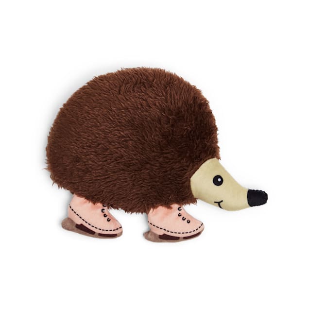 Hedgehog petco discount