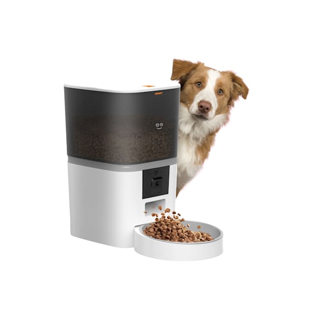 Geeni 6L Smart Pet Feeder with Camera 1080p HD