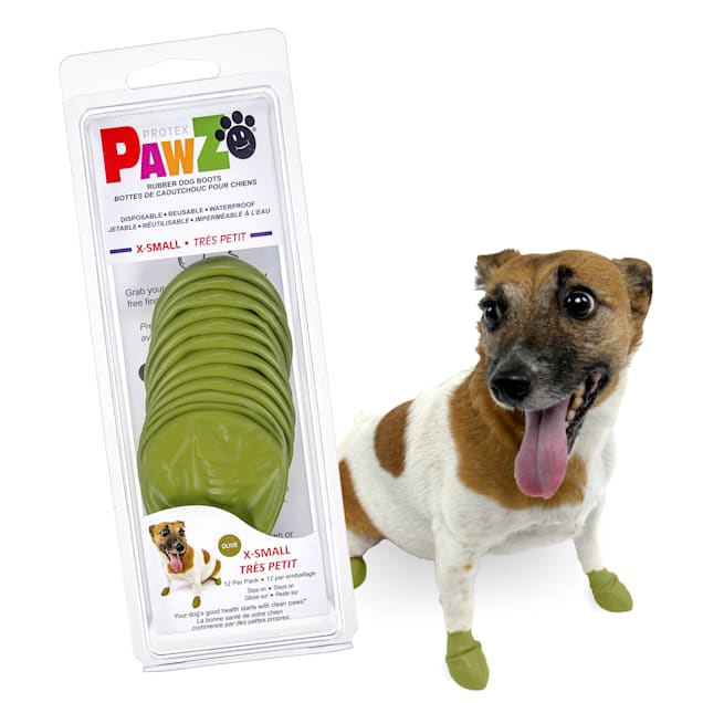 Pawz x small online