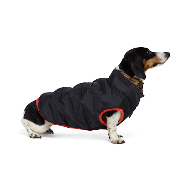 Reddy Quilted Puffer Dog Vest X Small Black Petco