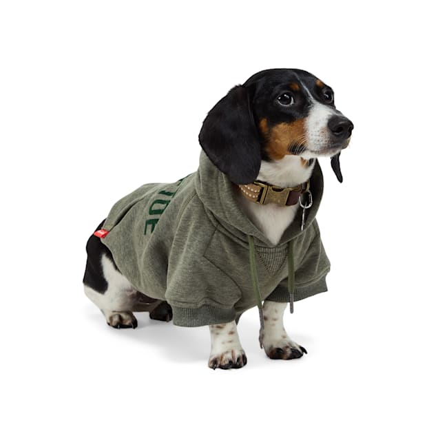 Petco dog hoodies top