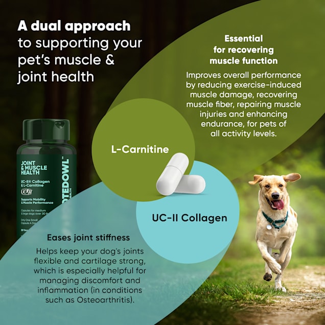 l carnitine supplements for dogs NaturVet Muscle Targeted Care Hip & Joint Supplement Dogs, Helps Support Lean Muscle Mass, Strength CARDIOMAX Heart & Cardiac Support