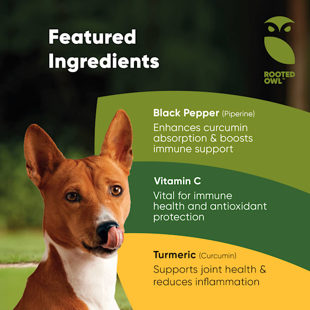 Rooted Owl Natural Supplements Turmeric Vegan Capsules with Black Pepper for Dogs and Cats 1.6 oz. Count of 60