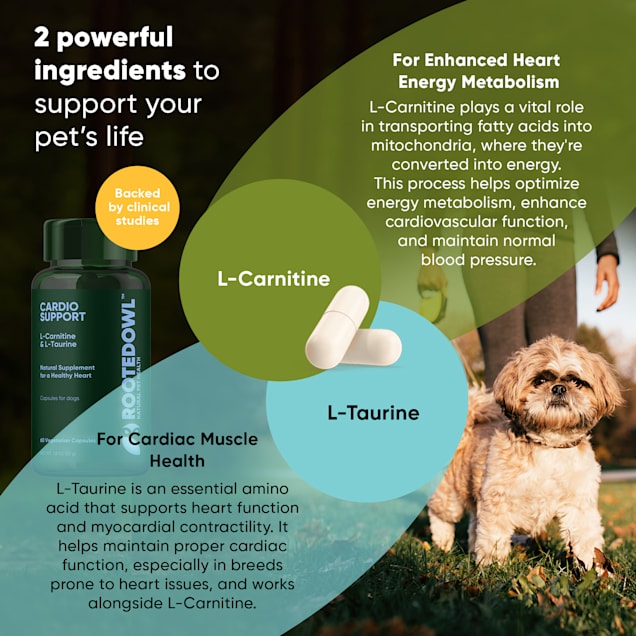 Taurine for dogs with heart disease best sale