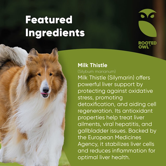 Petco milk thistle 2025