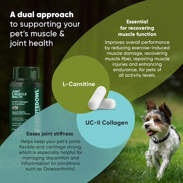 Rooted Owl Joint & Muscle Health UC-II Collagen Capsules for Cats & Small  Dogs, 1 oz., 30 Ct