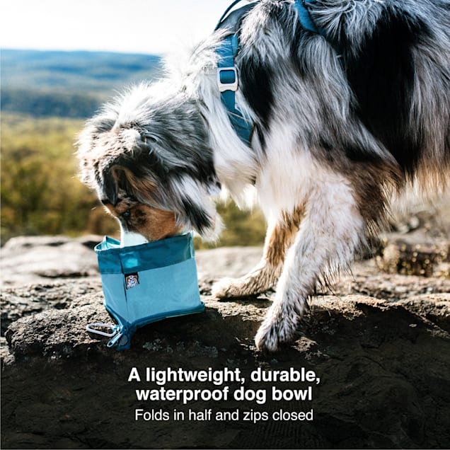 Pet barn dog bowls 2025