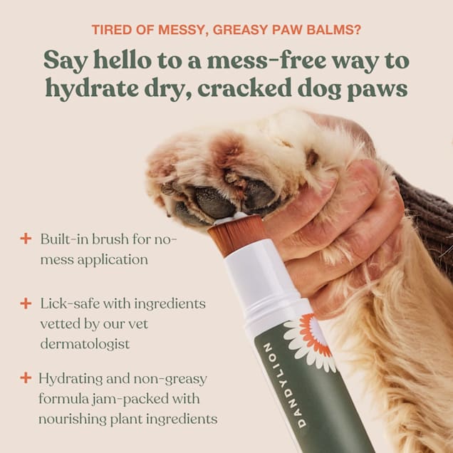 Soft paws petco online