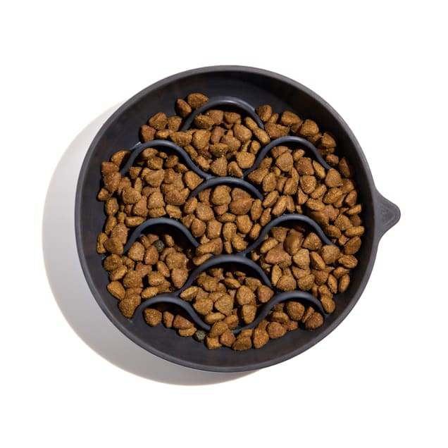 Wild One Black Slow Feeder Suction or Insert Bowl for Dogs 2.5 Cups