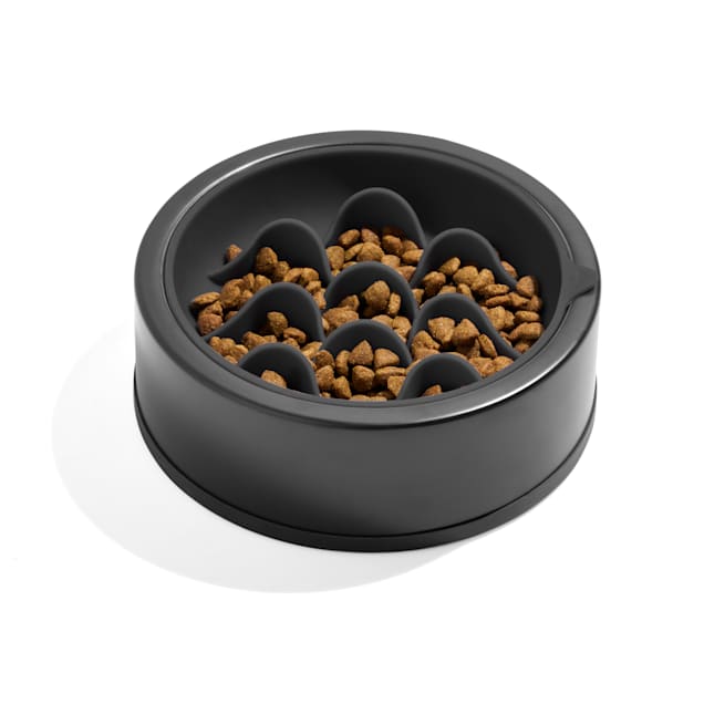 Wild One Slow Feeder Dog Bowl