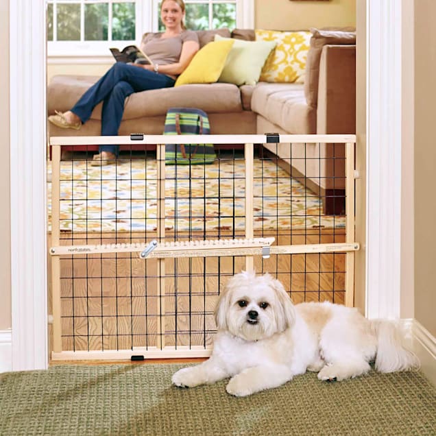 Mypet pet gate discount