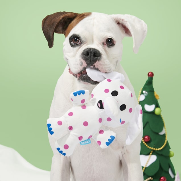 BARK White Pink Spotted Elephant Christmas Rudolph the Red Nosed Reindeer Plush Dog Toy Medium Petco