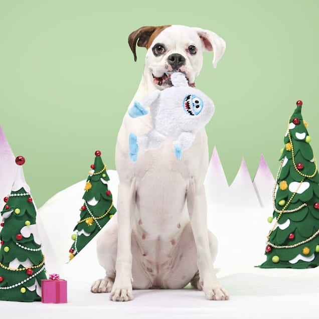Rudolph bumble dog toy cheap