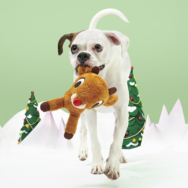 Bark Brown Red Runnin Rudolph Christmas The Red Nosed Reindeer Plush Dog Toy Large