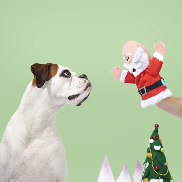 Kris kringle stuffed dog online