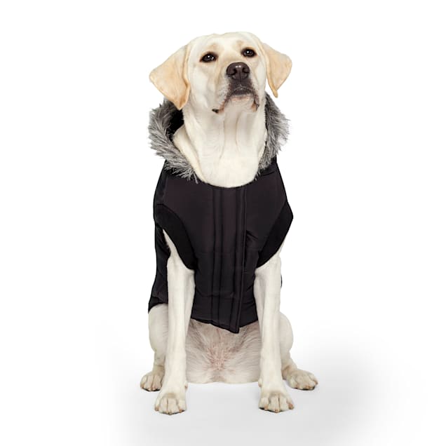 Canada Pooch True North Paraka for Dogs, 12, X-Small, Black - Carousel image #1
