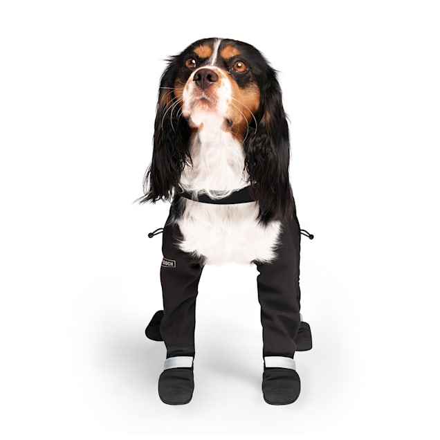 Canada Pooch Short Suspender Boots for Dogs, 2, Black - Carousel image #1