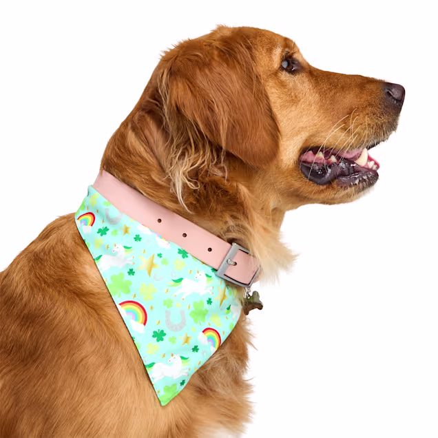 YOULY Patrick's Day Dog Bandana, Small/Medium, Green Graphic