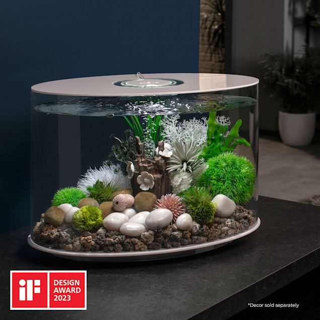 biOrb White LOOP 30 Aquarium with Standard Light, 8 Gallon | Petco
