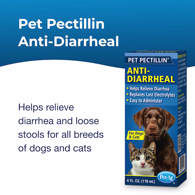 Anti Diarrhea Medicine To Stop Dog Diarrhea Johnsons Diarrhoea