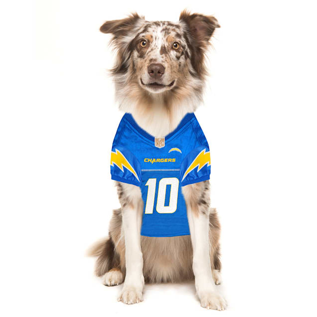 Chargers dog sweater clearance