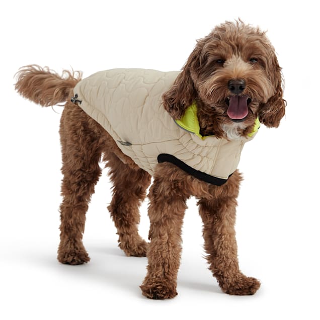 Petco dog coats new arrivals