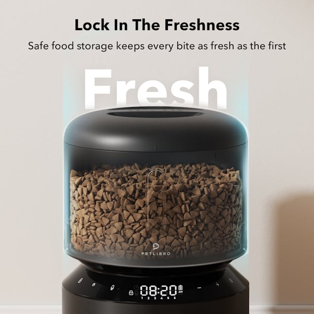 Cat feeder petco shop
