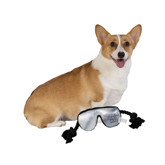 Dog sunglasses petco hot sale