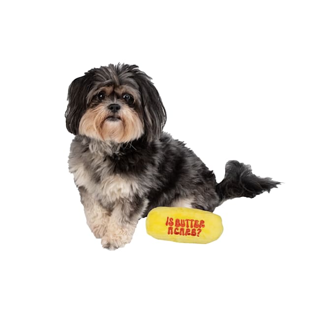 Butter the dog clearance