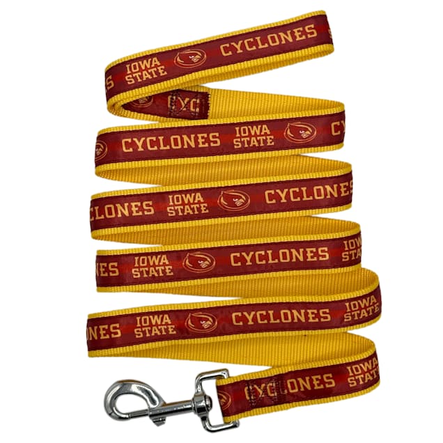Pets First NCAA Iowa State Satin Dog Leash, Small, 4 ft. - Carousel image #1