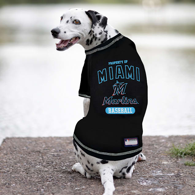 Miami marlins dog jersey clearance