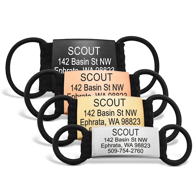 GoTags Silent Personalized Slide On Pet ID Tag for Dogs and Cats Small Black Petco