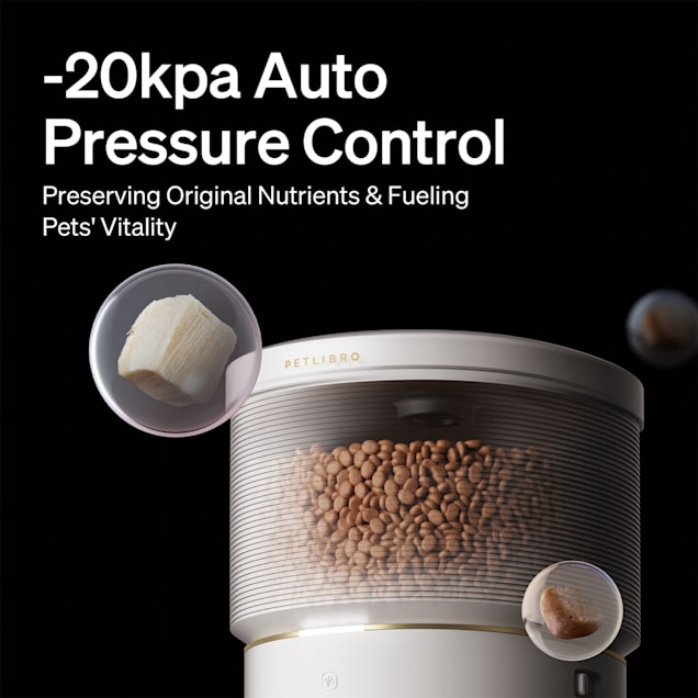 Petco automatic pet feeder online