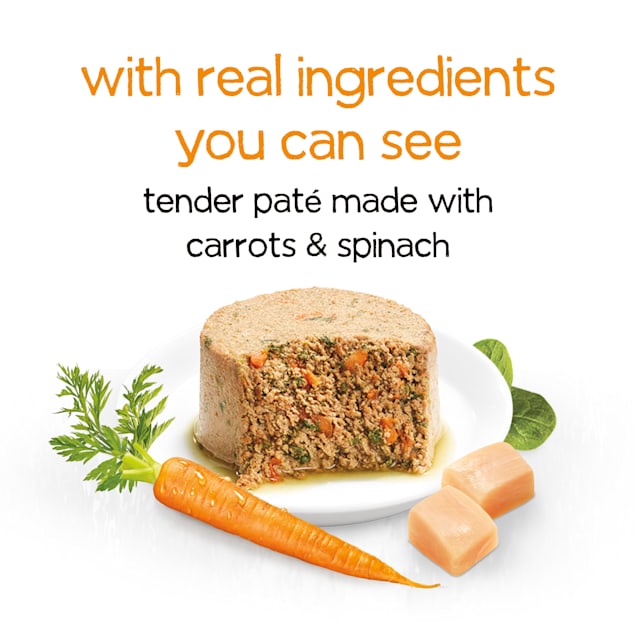Petco beneful best sale