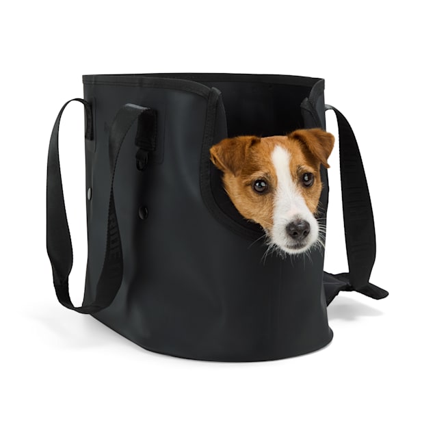 新品 Petco Reddy ペット ドッグ キャリー インポート 輸入 USA Reddy Black Fold-Out Pet Carrier, Small | Petco