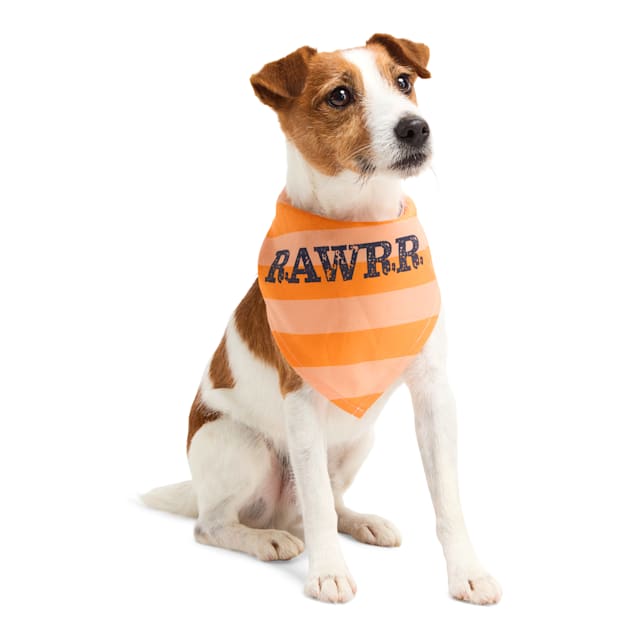 YOULY Rawr Pet Bandana, X-Small/Small - Carousel image #1