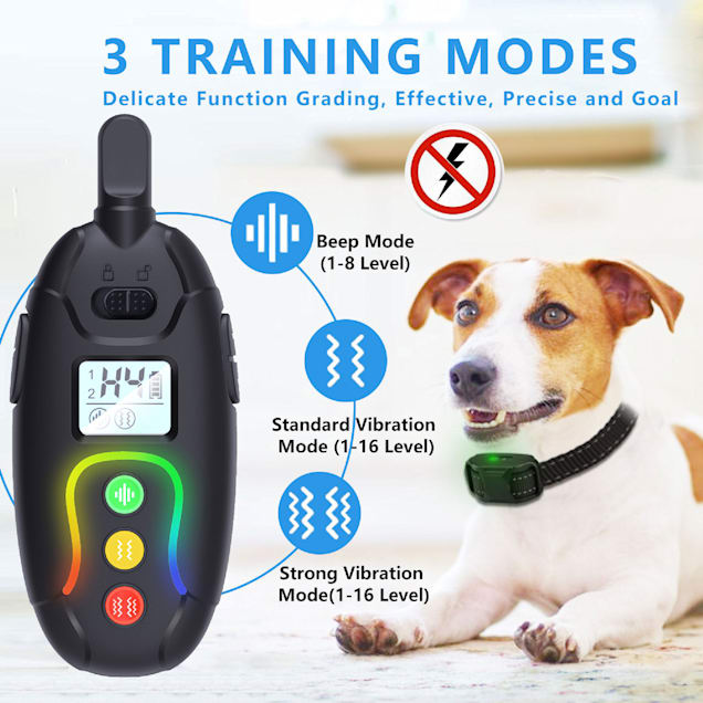 Dog Shock Shock Collars At Petco Amazon Tens Dog Training Collar