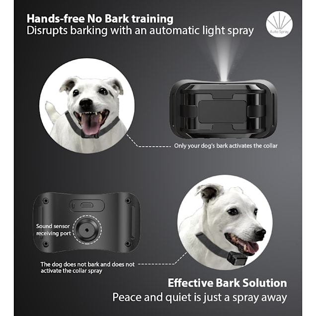 Petco bark collar battery shop
