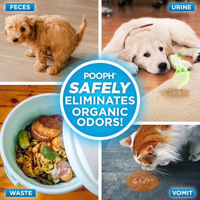 POOPH Pet Odor & Stain Eliminator, 32 fl. oz