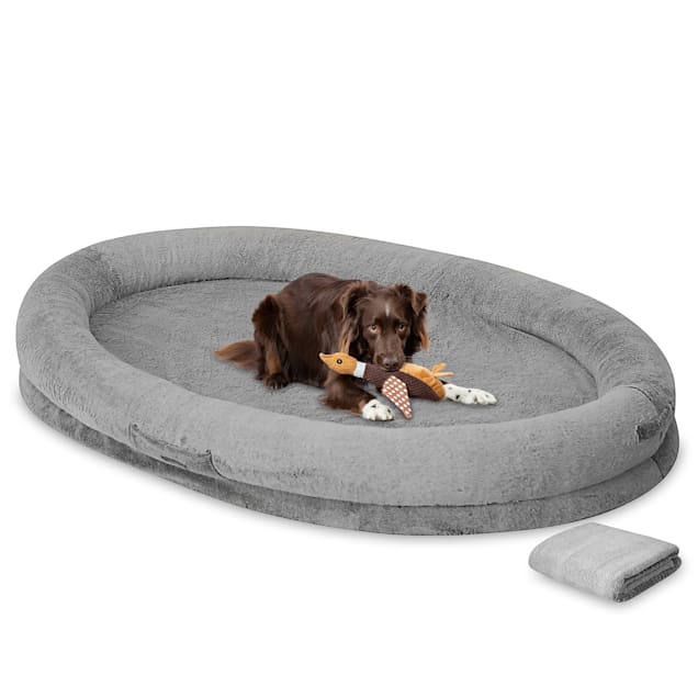 Oval dog bed large clearance