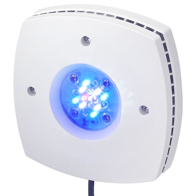 AQUAILLUMINATION White Body Prime 16 HD LED Reef Light | Petco