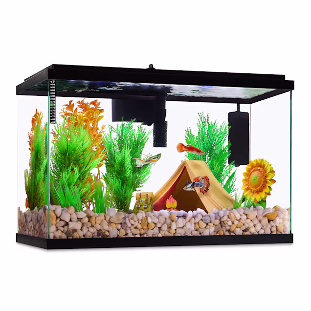 Imagitarium Open-Glass Aquarium Tank, Gallon Petco