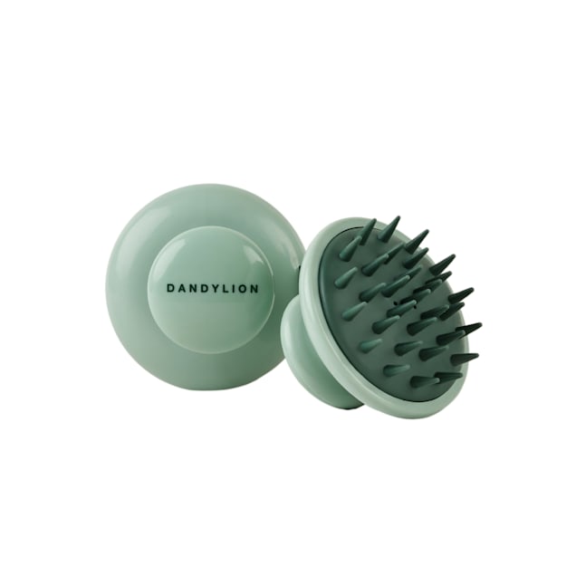 Dandylion Scrub Brush for Bath & Deshedding for Dogs - Carousel image #1