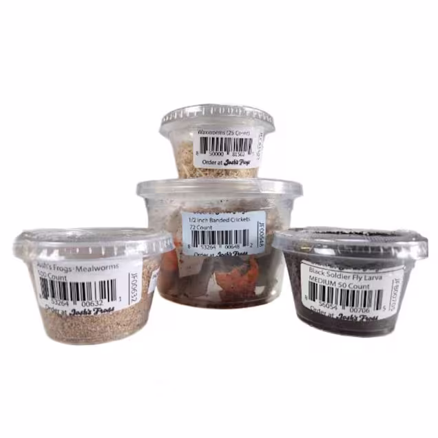 Live Insects Juvenile Leopard Gecko Feeder Bundle - Carousel image #1