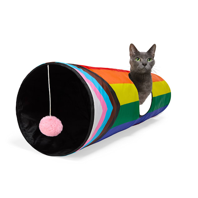 YOULY Pride Cat Tunnel Toy, X-Large Petco