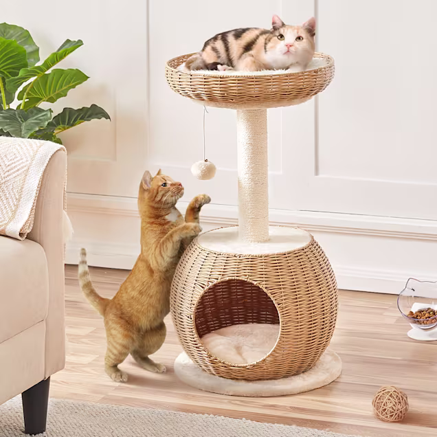 alternate cat food from friskies Friskies Prime Filets Salmon & Beef in Sauce Wet Cat Food